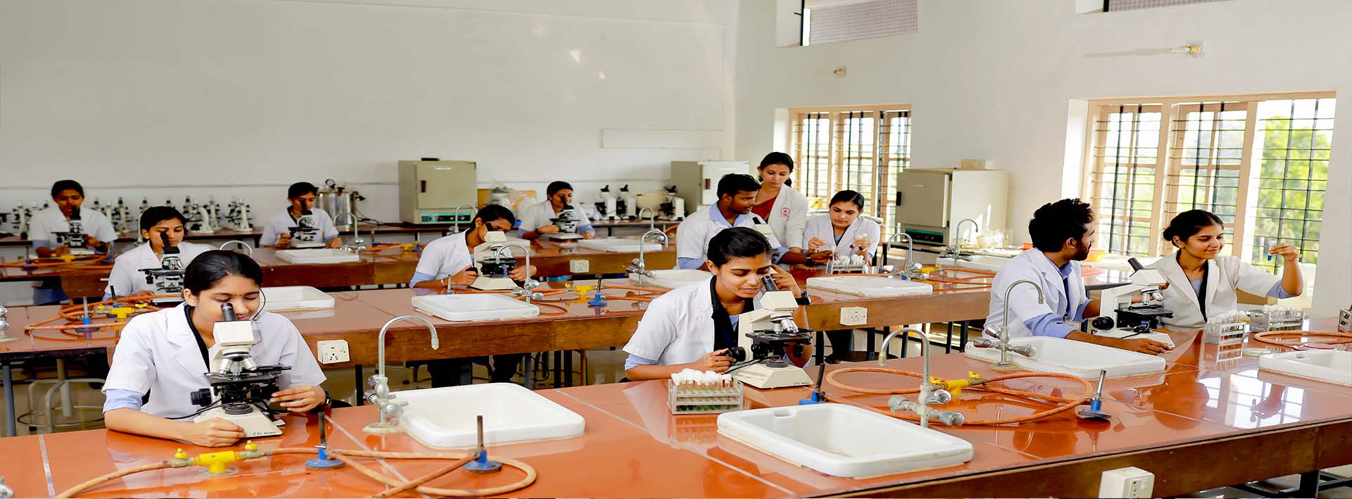 lab